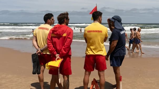 Violencia en Punta del Este: un turista argentino golpeó a un guardavidas que rescató a su hijo del mar