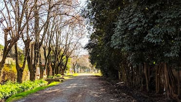 Gastronomía y naturaleza: dónde queda el pueblito con estilo rural a horas de CABA