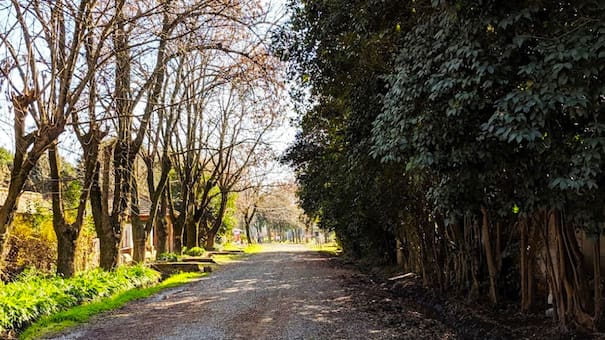 Gastronomía y naturaleza: dónde queda el pueblito con estilo rural a horas de CABA