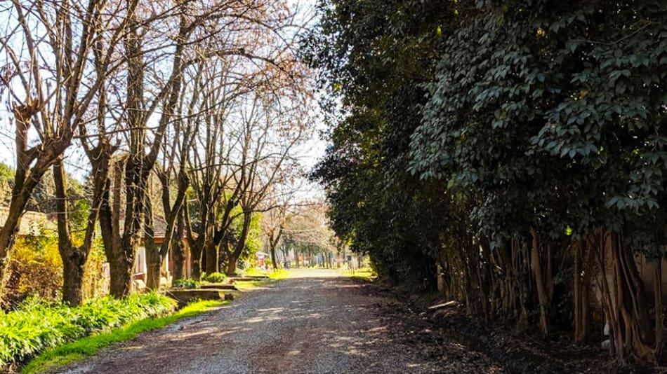 Tomás Jofre, pueblo.