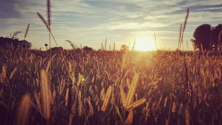 El Niño y los cambios de temperatura. Foto: Unsplash