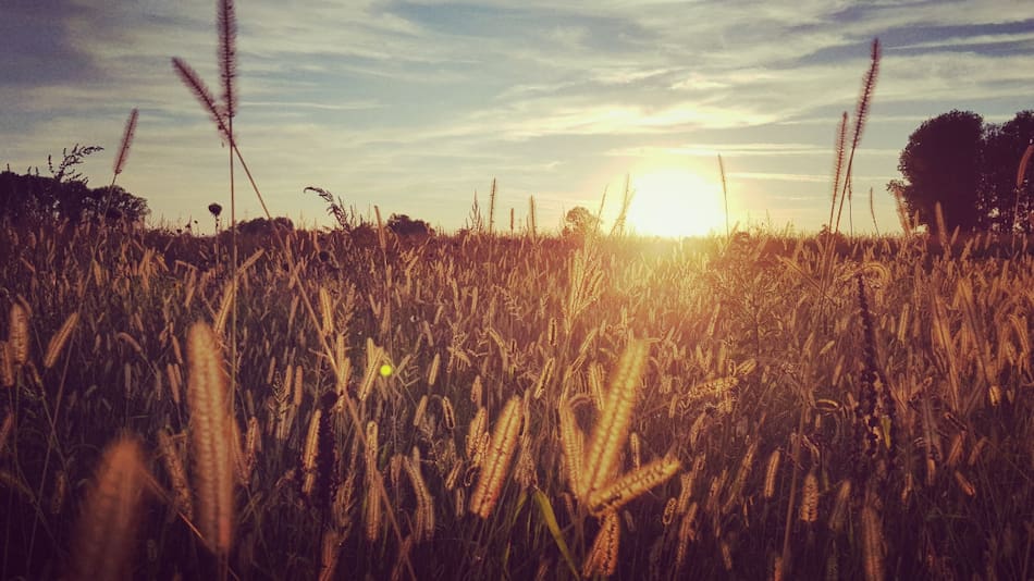 El Niño y los cambios de temperatura. Foto: Unsplash