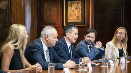 Vacuna contra el neumococo: Pfizer y Sinergium invertirán 20 millones de dólares en Argentina para producirla