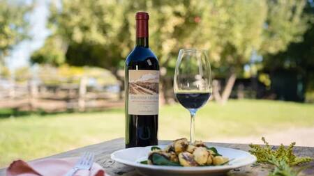 Mendoza es la región que cuenta con las bodegas más importates de Argentina. Foto NA.