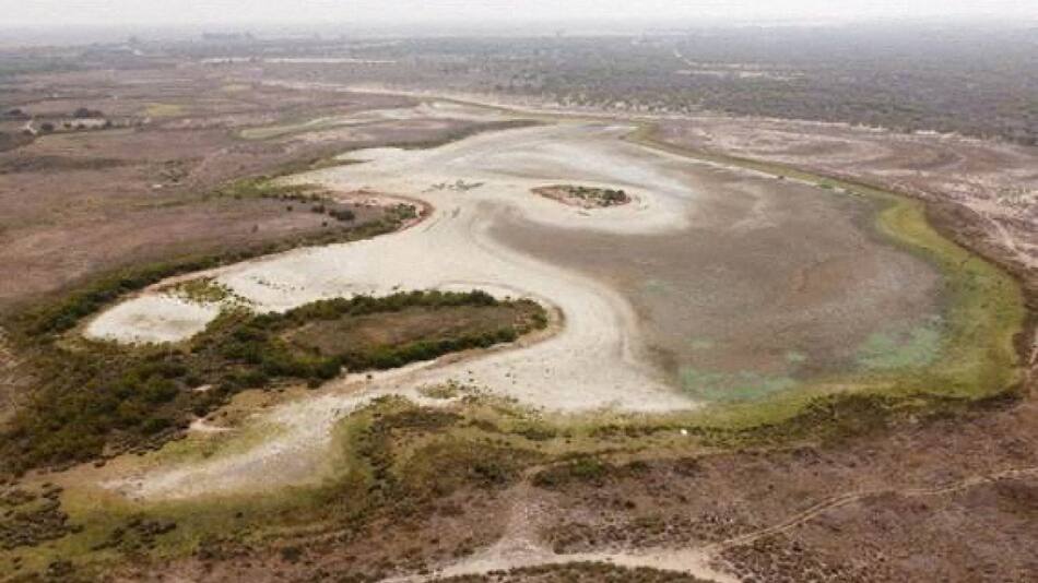 Parque Nacional Doñana. Foto: Reuters.
