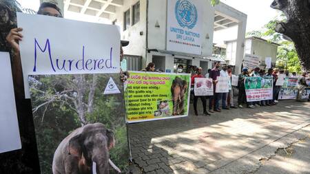 Protesta en Sri Lanka para proteger a los elefantes. Foto: EFE.