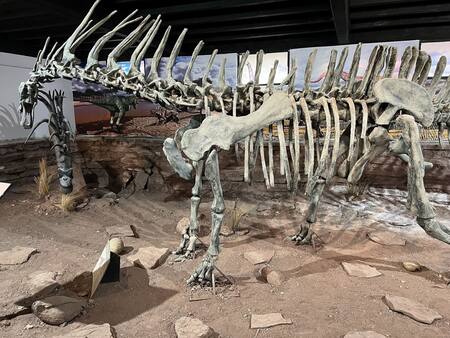Museo Paleontológico Municipal Ernesto Bachmann, Neuquén. Foto: Pato Daniele