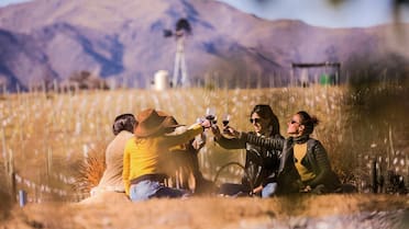 No queda en Mendoza: la imperdible Ruta del Vino que combina paisajes deslumbrantes y bodegas únicas