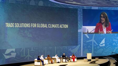 Desafíos y Oportunidades tras la COP28