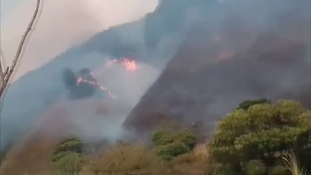 Incendio forestal en Venezuela. Foto: Captura de pantalla/EFE.