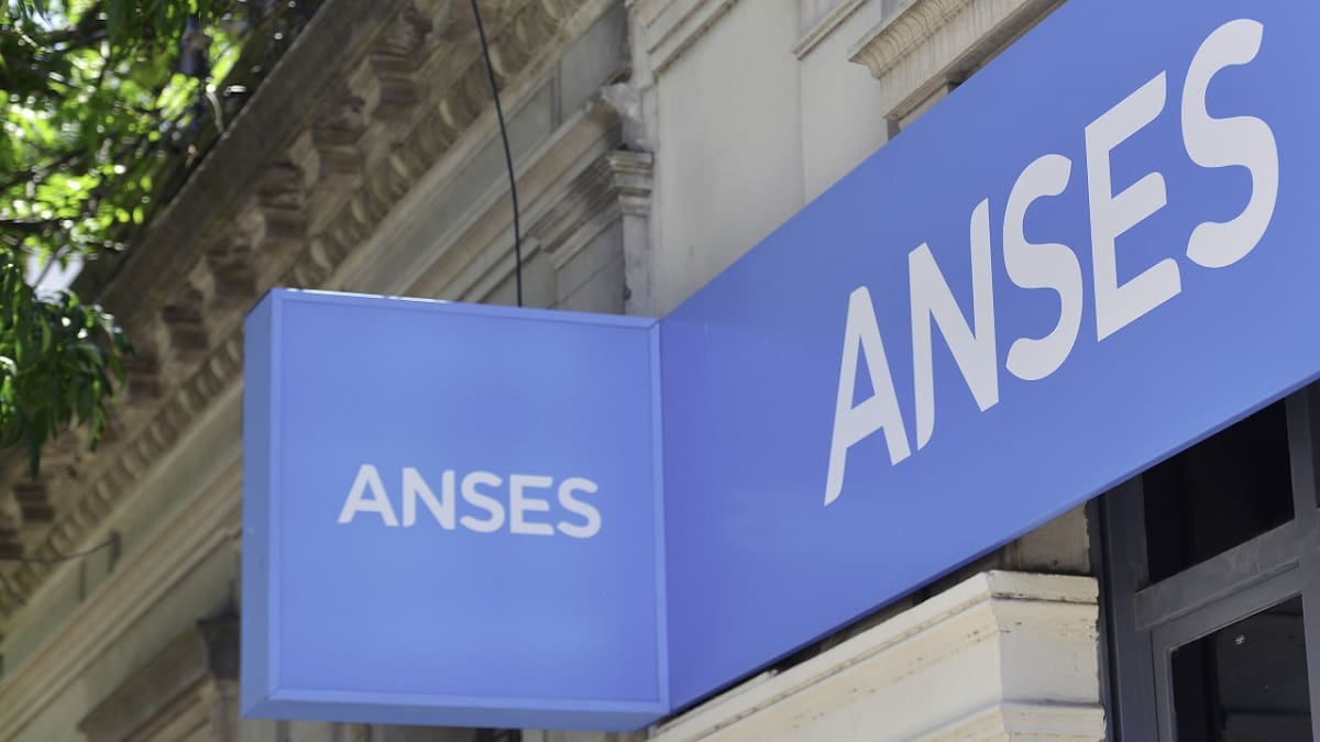 ANSES. Foto: NA.