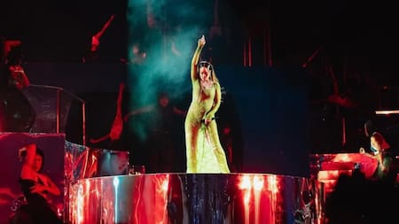 Devuelta a los escenarios: la cifra millonaria que cobró Rihanna por un show privado en India