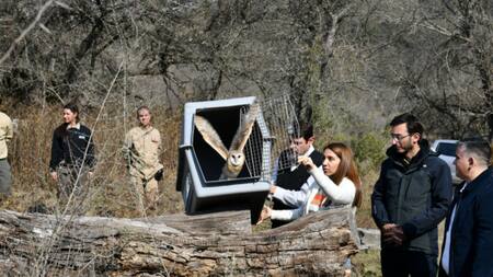 Aves liberadas en la Reserva Natural de la Defensa La Calera. Foto: Prensa Parques Nacionales.