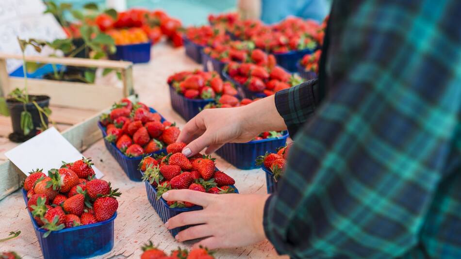 Cómo elegir las mejores frutillas. Foto Unsplash.