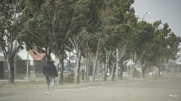 Buenos Aires bajo alerta amarilla: las localidades afectadas por las fuertes ráfagas de viento, según el pronóstico