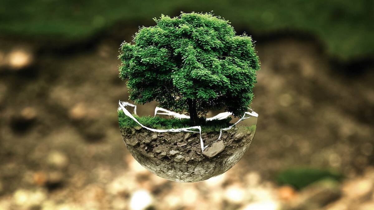 Medio ambiente. Foto: Pixabay.