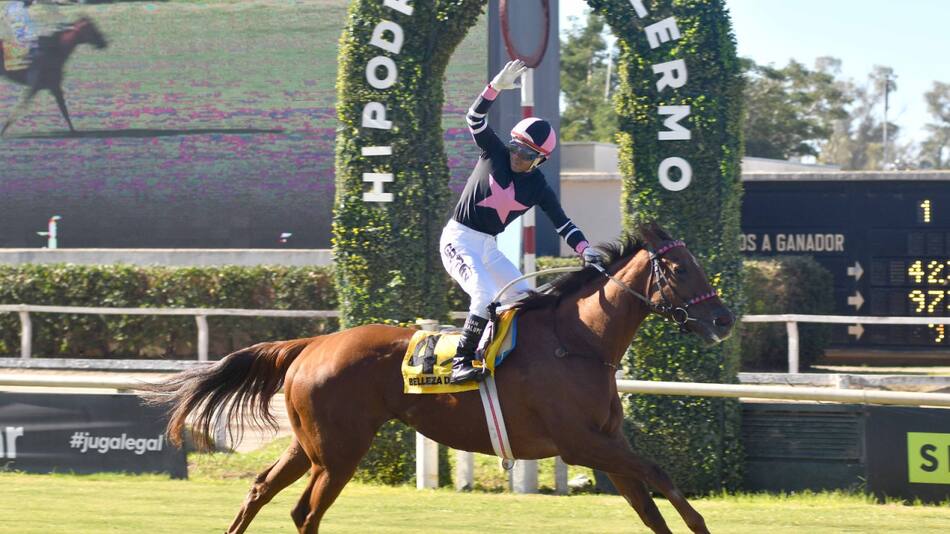 Floja de papeles: Aduana denegó la exportación de una yegua multicampeona por ser declarada a precios irrisorios. Foto: Aduana.