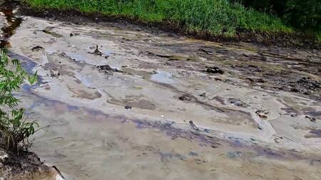 Peces muertos por el petróleo. Foto: captura Ruptly.