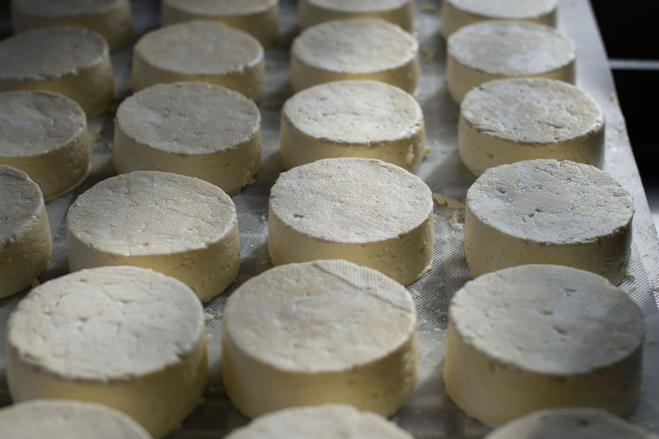 El queso Afuega’l Pitu es originario de las Asturias. Unsplash.