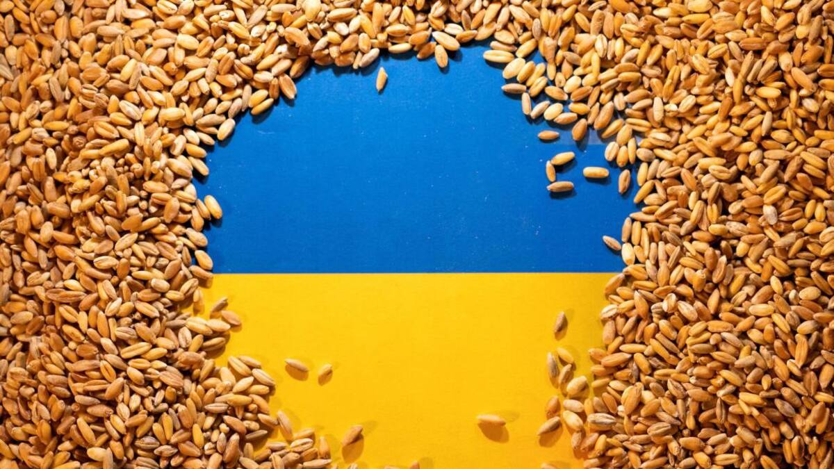 Bandera de Ucrania cubierta de grano de cereales. Foto: Reuters.