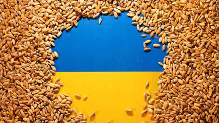 Bandera de Ucrania cubierta de grano de cereales. Foto: Reuters.