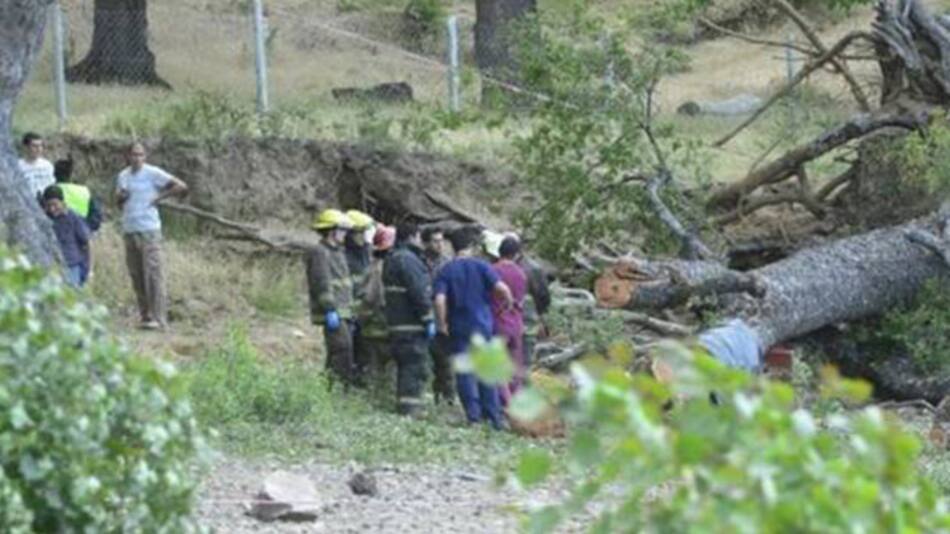 Dos chicos murieron aplastados por un árbol en San Martín de los Andes