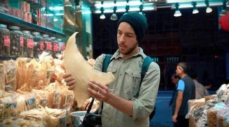 Seaspiracy, documental de Netflix