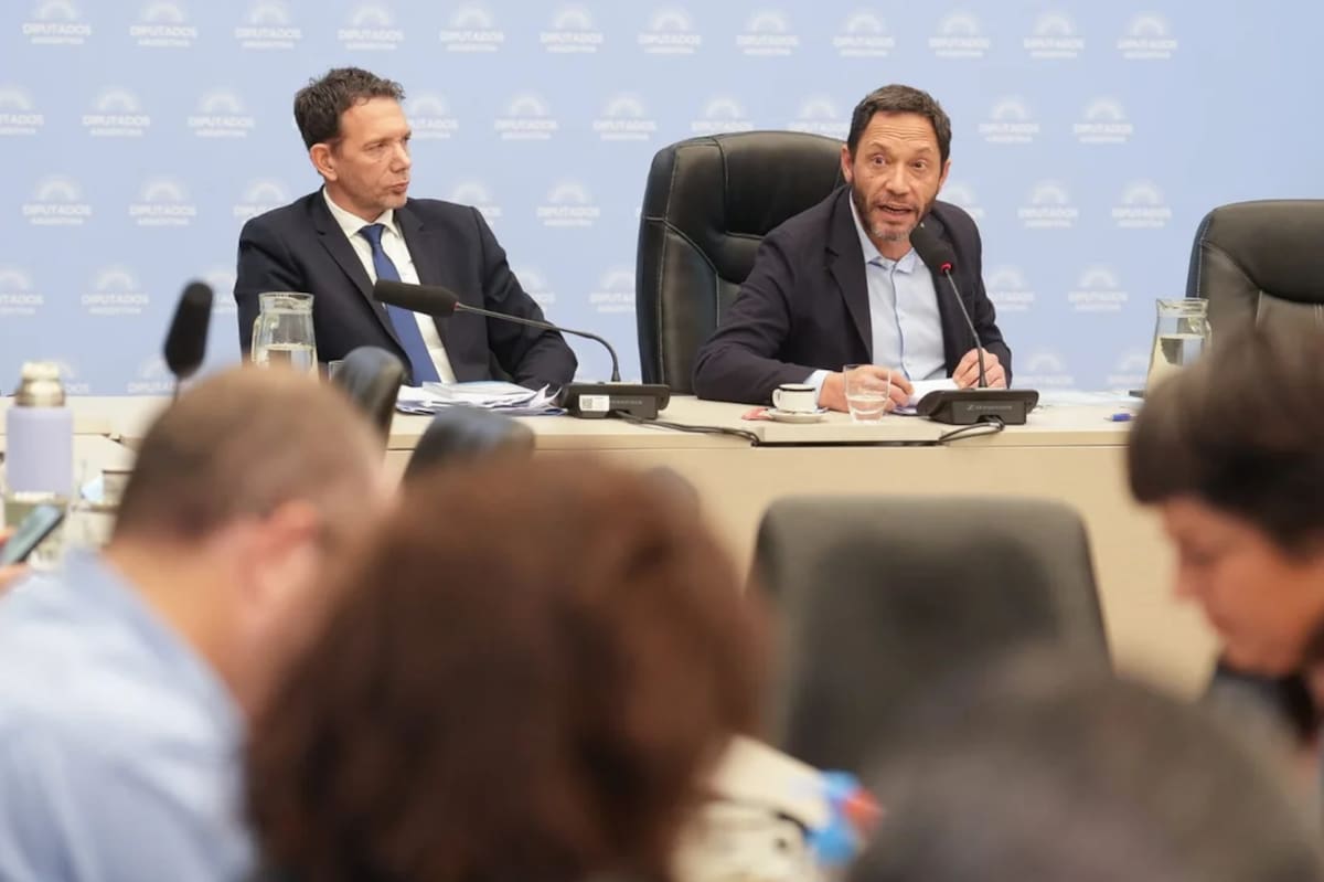Maximiliano Ferraro, presidente de la comisión investigadora de Libra.
