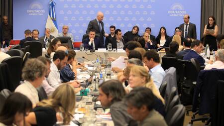 Debate de Comisión en Diputados. Foto: NA.