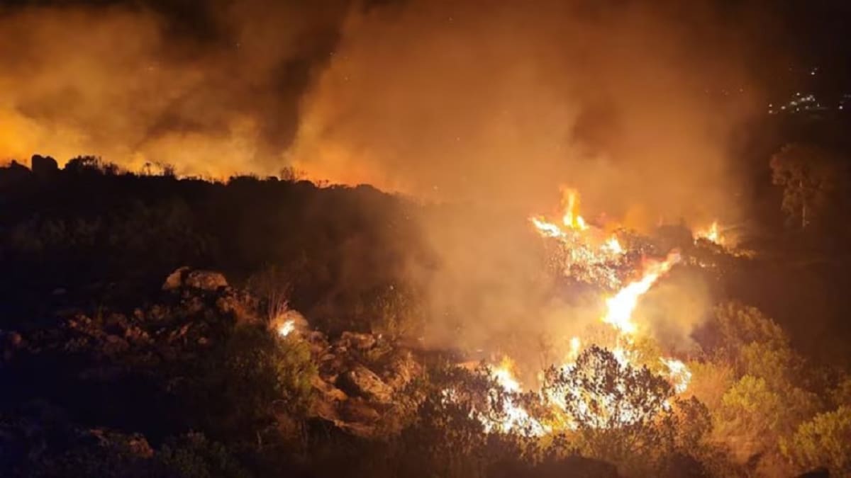 Incendio en Tandil. Foto: Portal El Eco