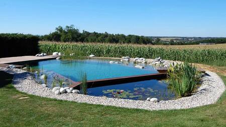 Biopiletas: qué son y cómo funcionan estas piscinas ecológicas que combinan diseño, bienestar y equilibrio natural