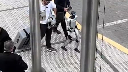 Robot en Puerto Madero. Fuente: Captura