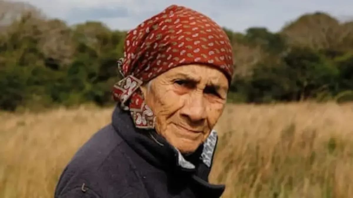 Caso Loan: el misterioso hallazgo sobre el celular de la abuela del menor desaparecido