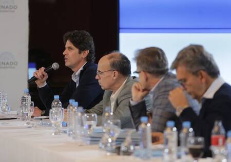 Reunión de comisión en el Senado por el presupuesto universitario. Foto: NA.