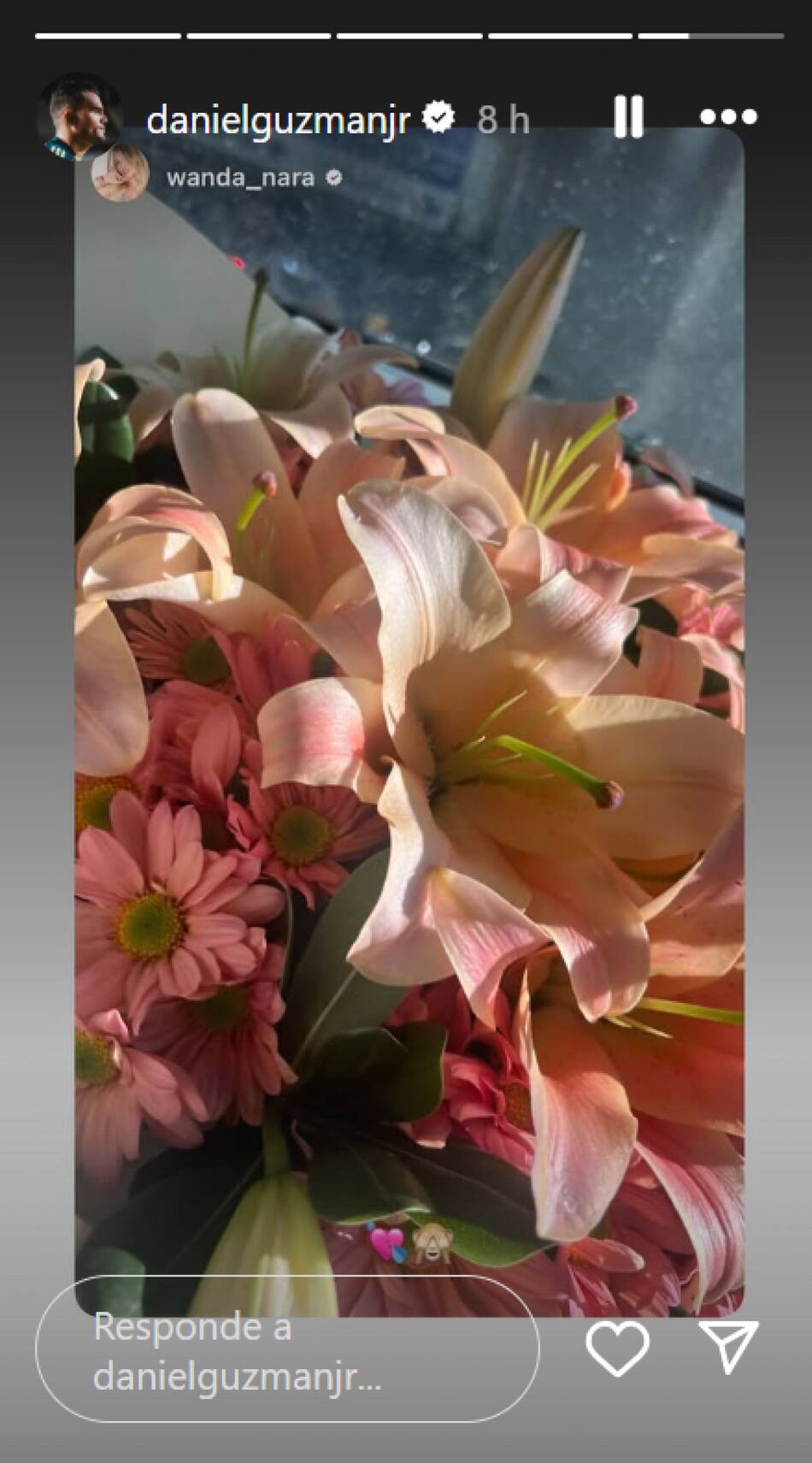 El regalo de Daniel Guzmán a Wanda Nara. Foto: Instagram.