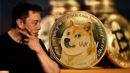 Elon Musk y los Dogecoins, Economía.