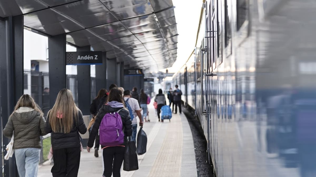 Nuevo servicio de larga distancia entre Retiro y Junín