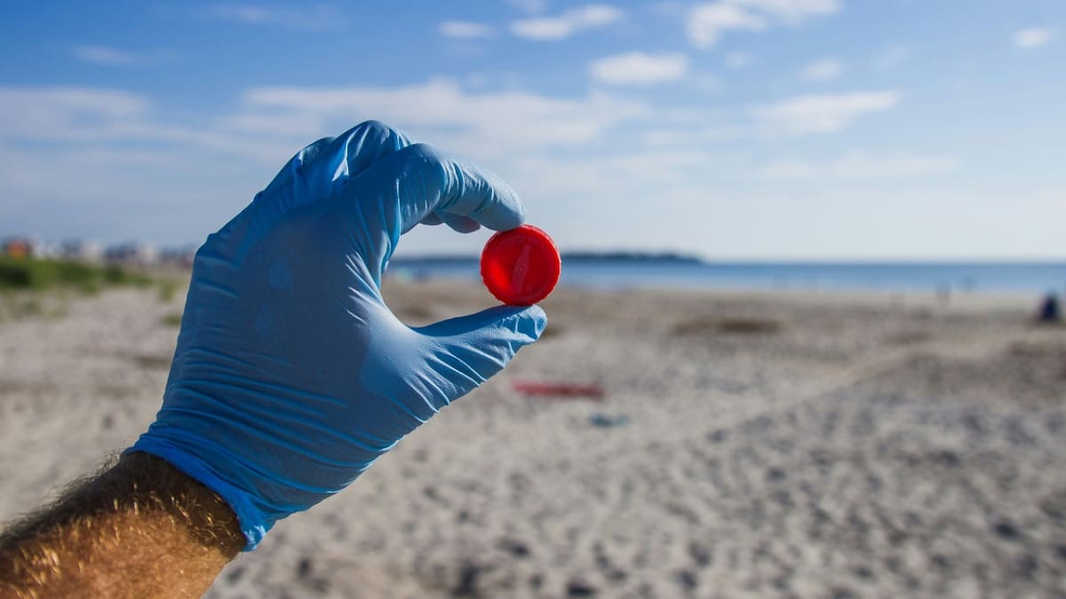 Basura plástica: las playas de Bélgica padecen la huella ambiental que deja el turismo