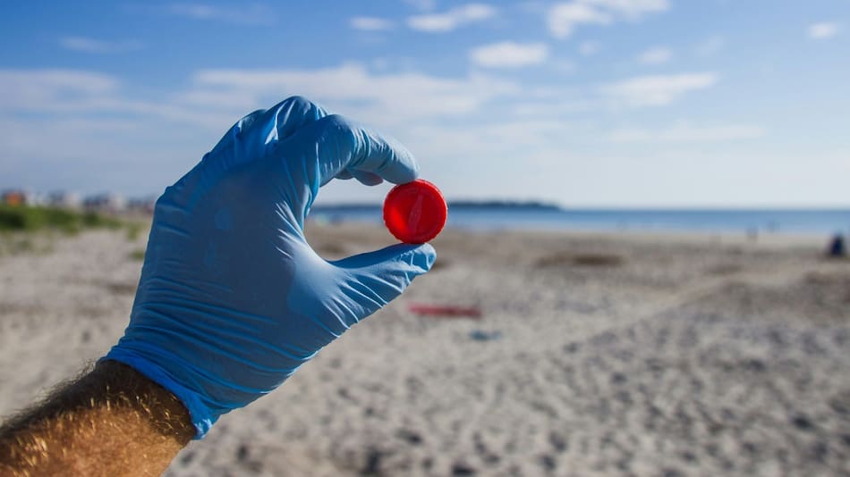 Los microplásticos tienen la capacidad de absorber contaminantes tóxicos. Foto: Unsplash.