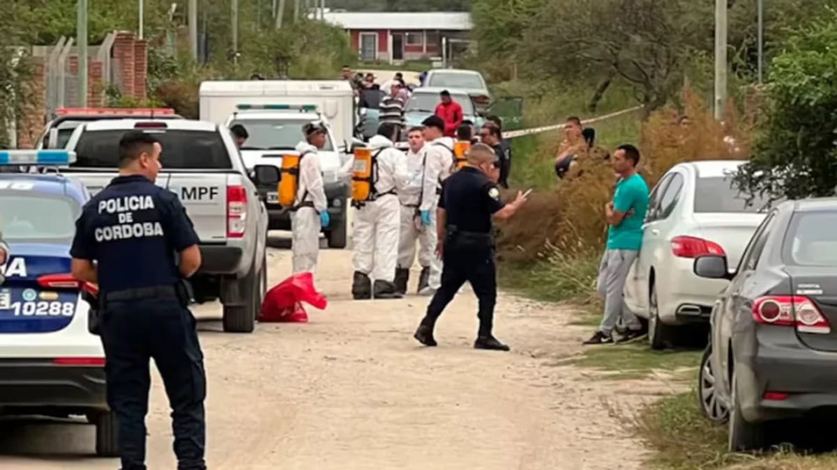 Una mujer fue detenida por el crimen de sus hijos. Foto: NA