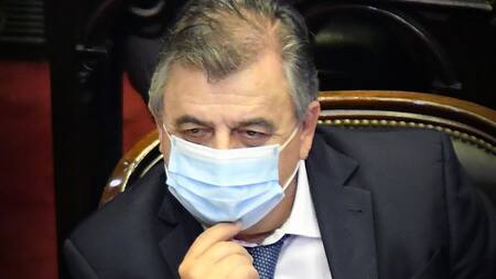 Mario Negri, UCR, NA