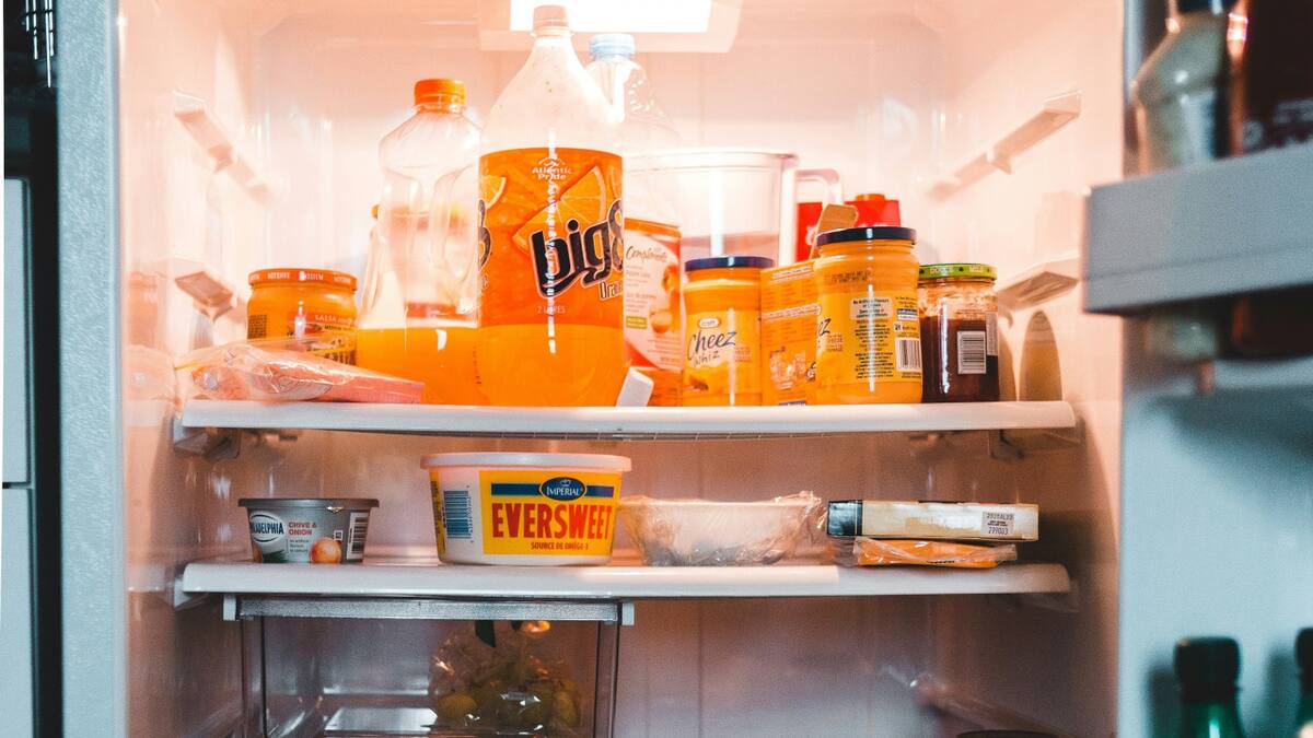 Freezer, congelador, heladera. Foto Unsplash.