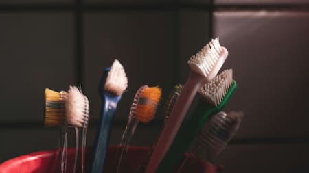 Dientes, higiene bucal, boca, limpieza. Foto: Unsplash