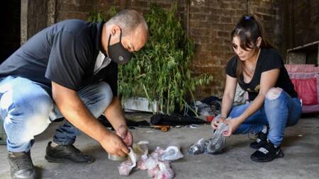 Fiscal de la causa dijo que cocaína fue adulterada "intencionalmente" y que "esto es excepcional"