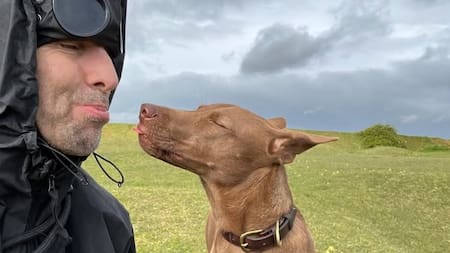 La historia de Buttons, la perra de Liam Gallagher