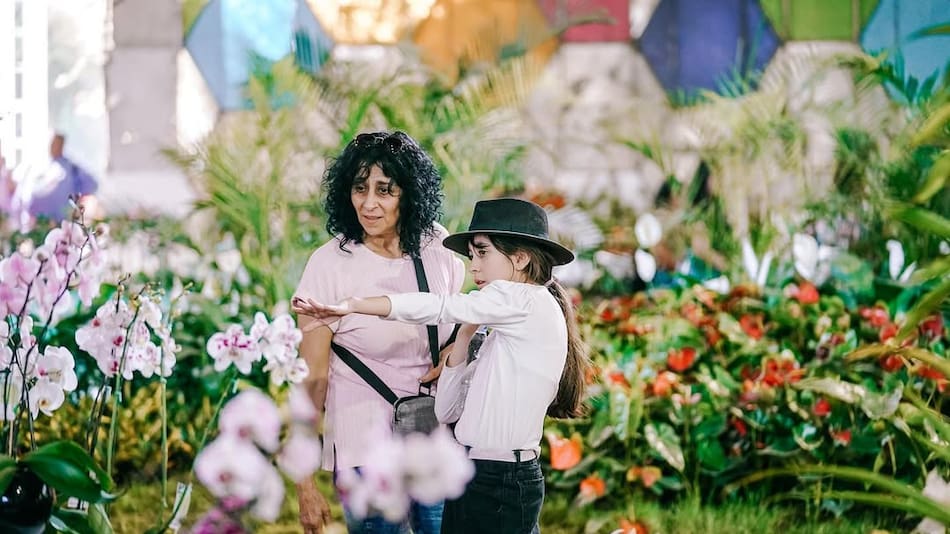 Fiesta Nacional de la Flor.