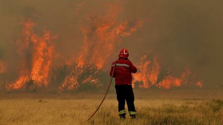 Incendio en el Parque Nacional Los Alerces. Foto: Télam.