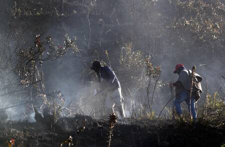 Incendios forestales en Colombia. Foto: EFE
