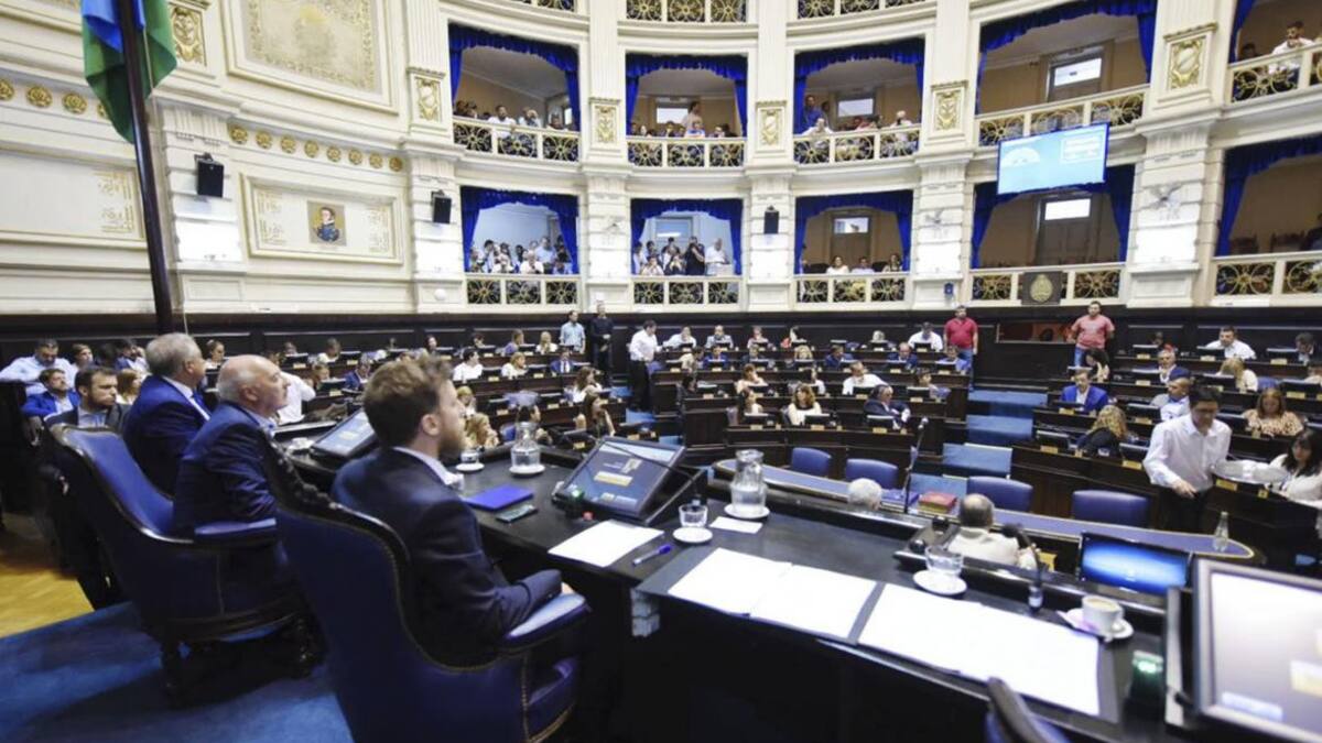 Sesión Cámara de Diputados bonaerense, NA