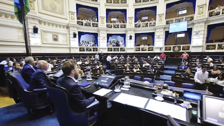 Sesión Cámara de Diputados bonaerense, NA